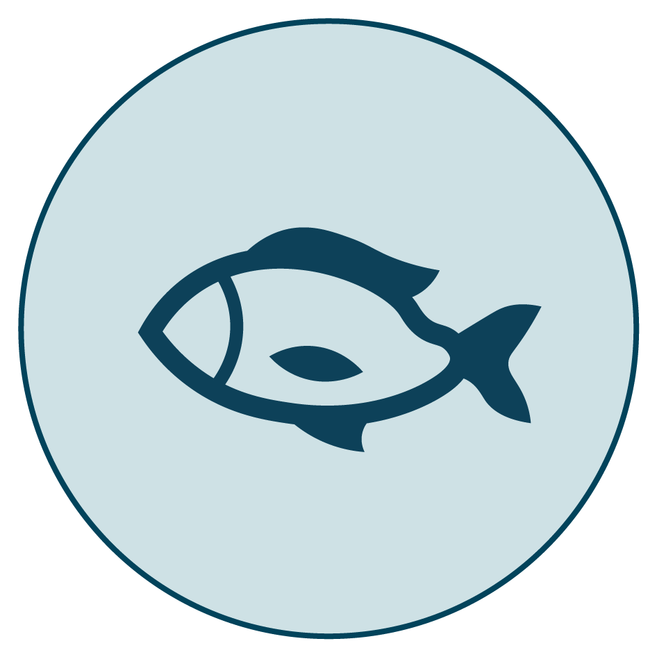 Umi Ikon